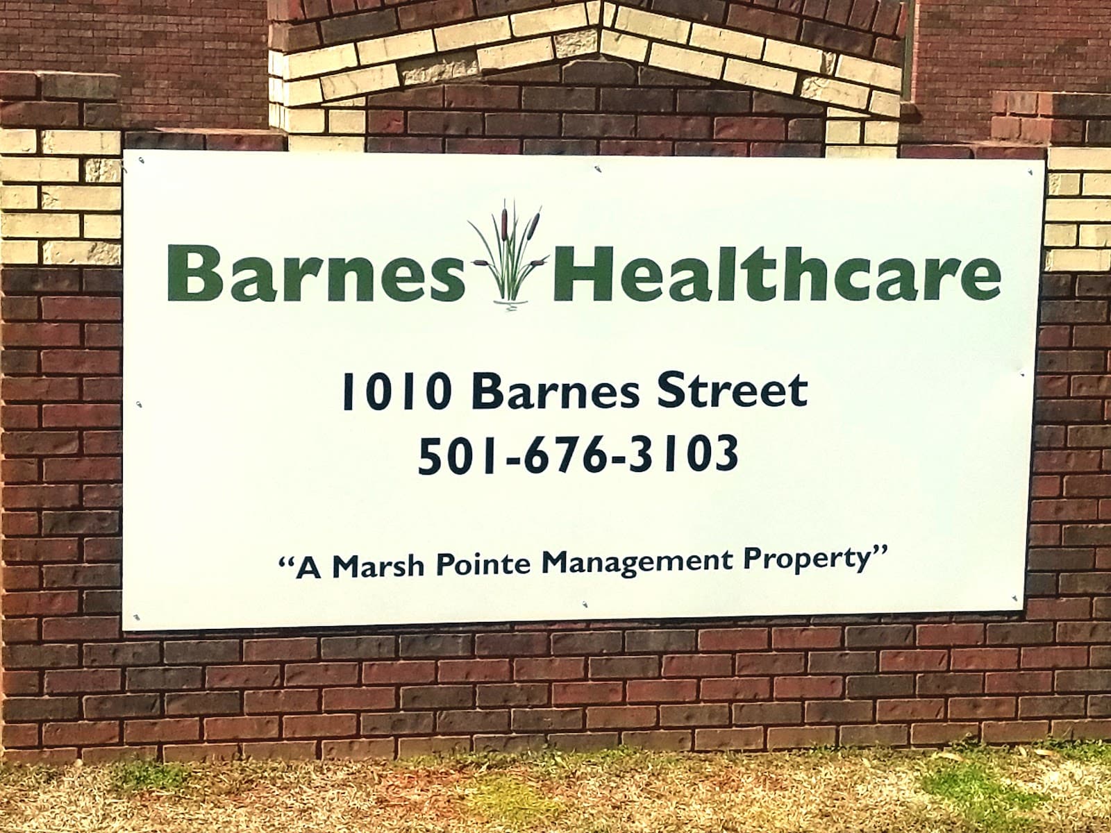 Barnes Healthcare — photo 1