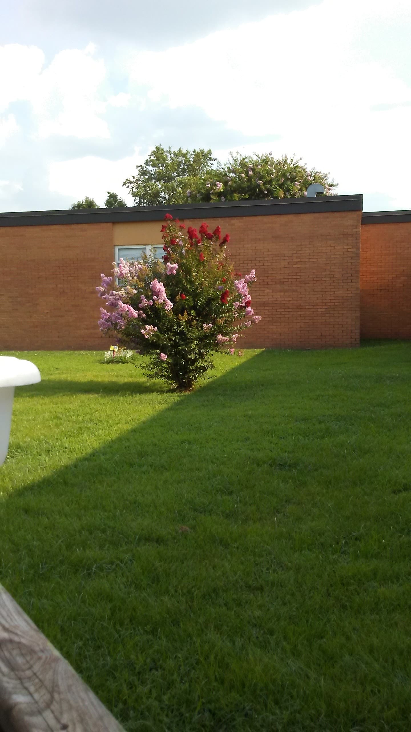 Lawrence Hall Health & Rehabilitation