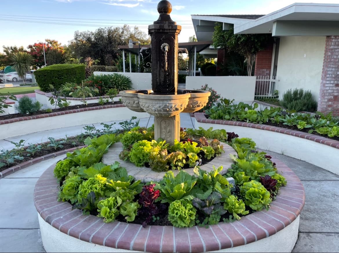 Upland Rehabilitation & Care Center