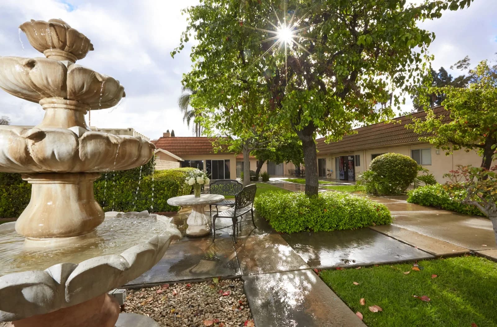 Buena Vista Care Center