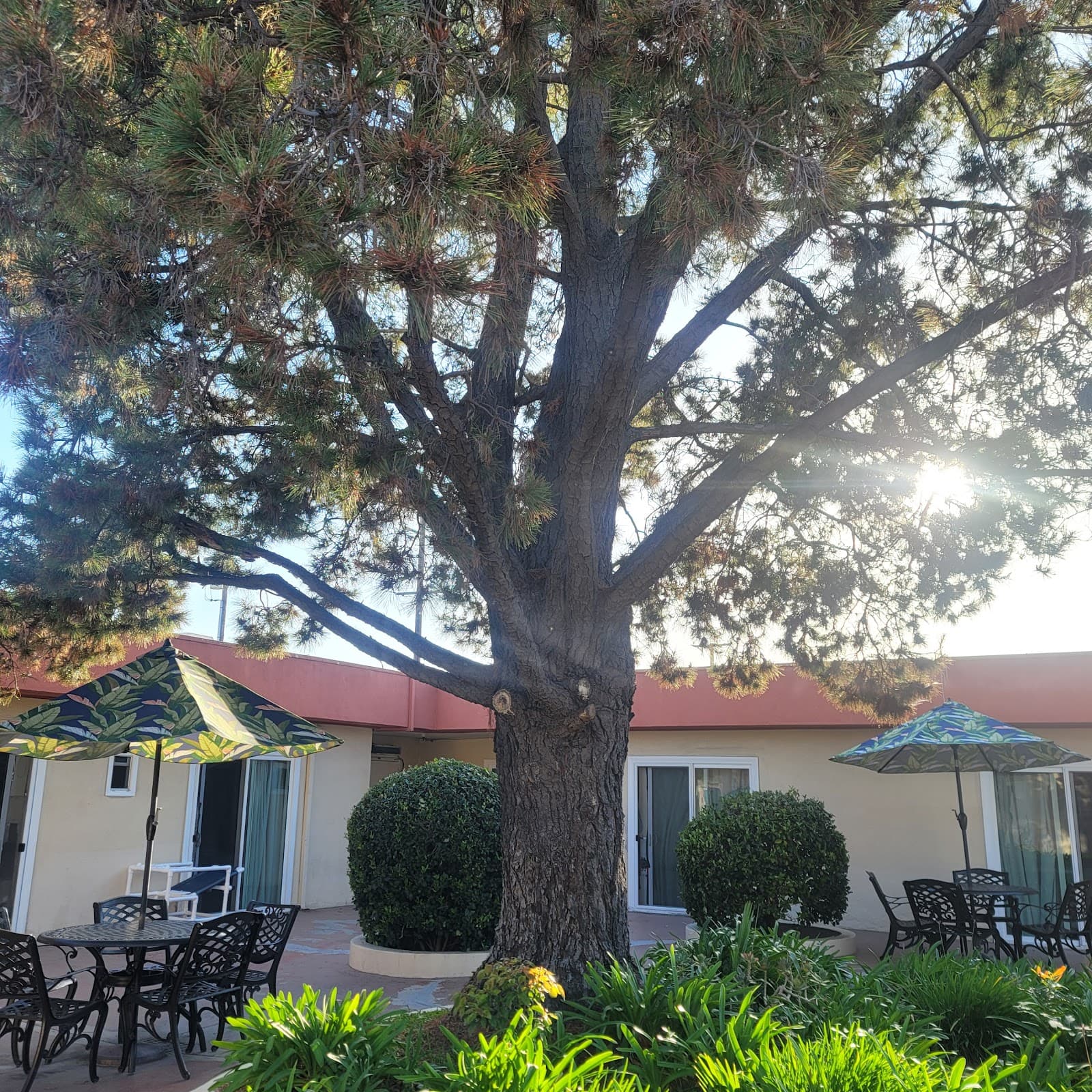 Healthcare Center Of Orange County