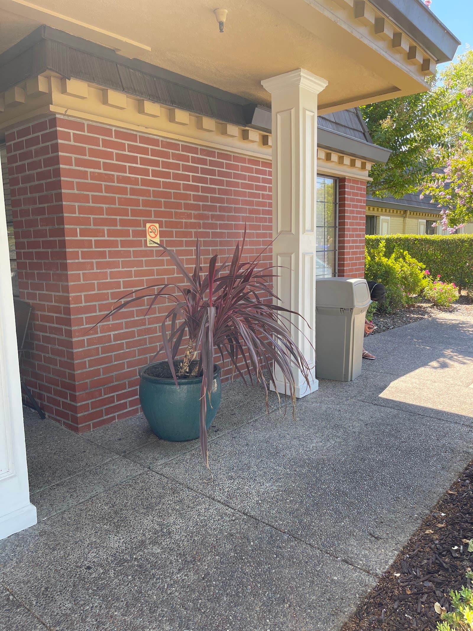 Plum Tree Care Center