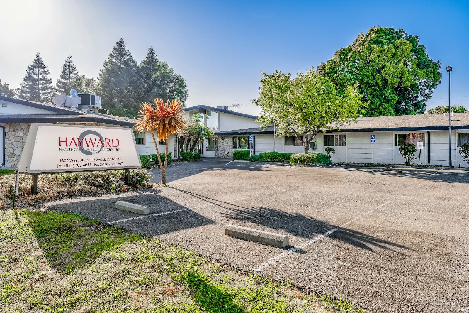 Hayward Healthcare & Wellness Center