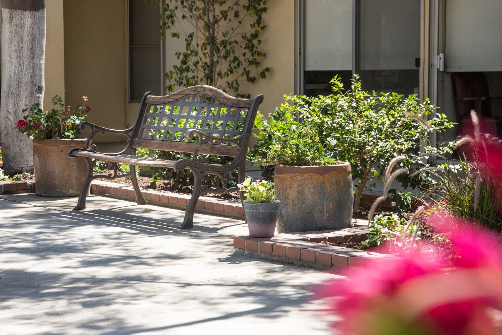 Woodland Care Center