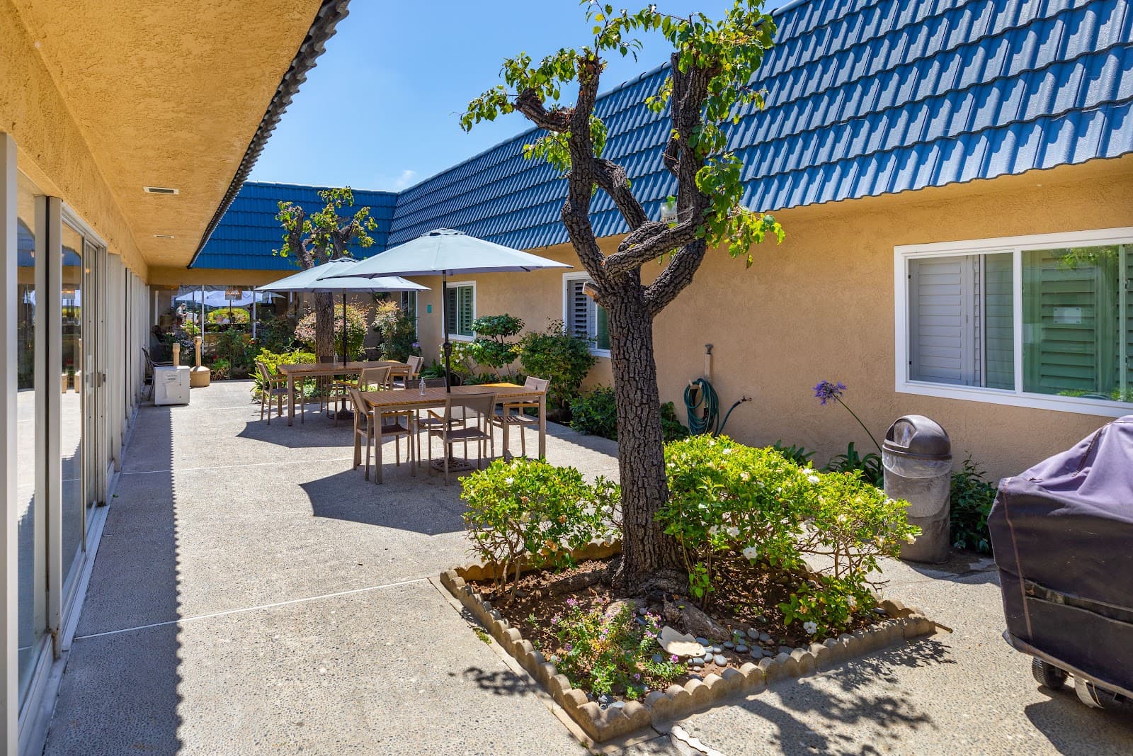 Alamitos Belmont Health And Rehabilitation