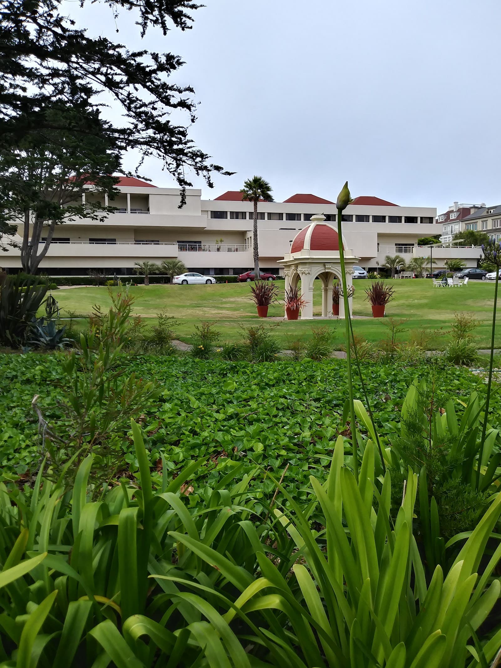 Little Sisters Of The Poor