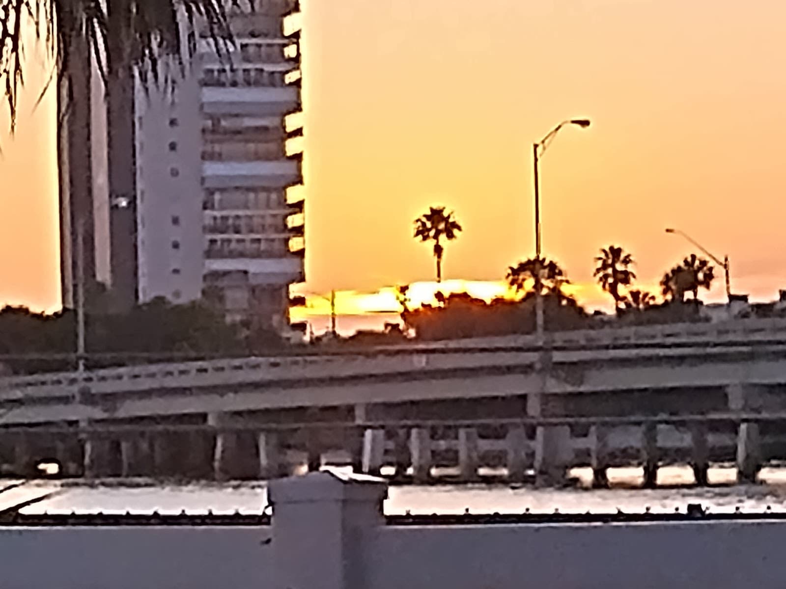 Aviata At The Sea - Pasadena