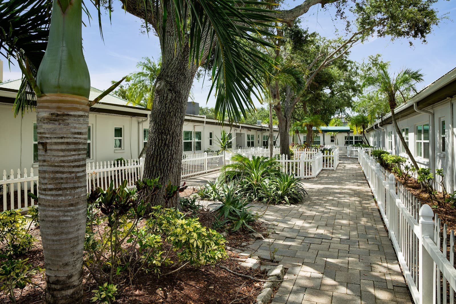 Apollo Health and Rehabilitation Center