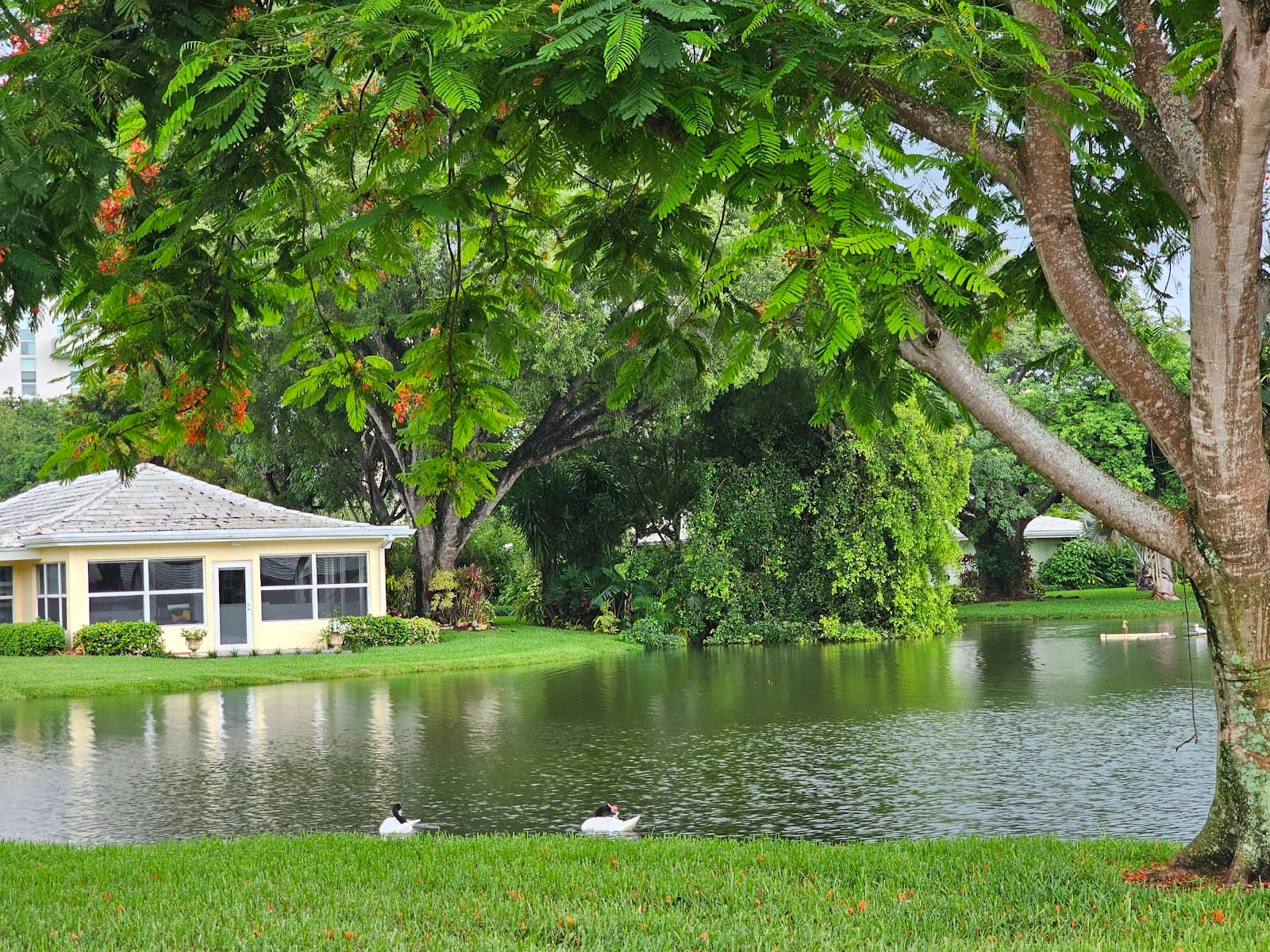 The Woodlands at John Knox Village