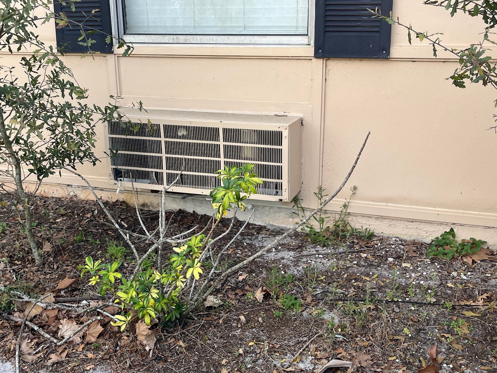 Longwood Health And Rehabilitation Center