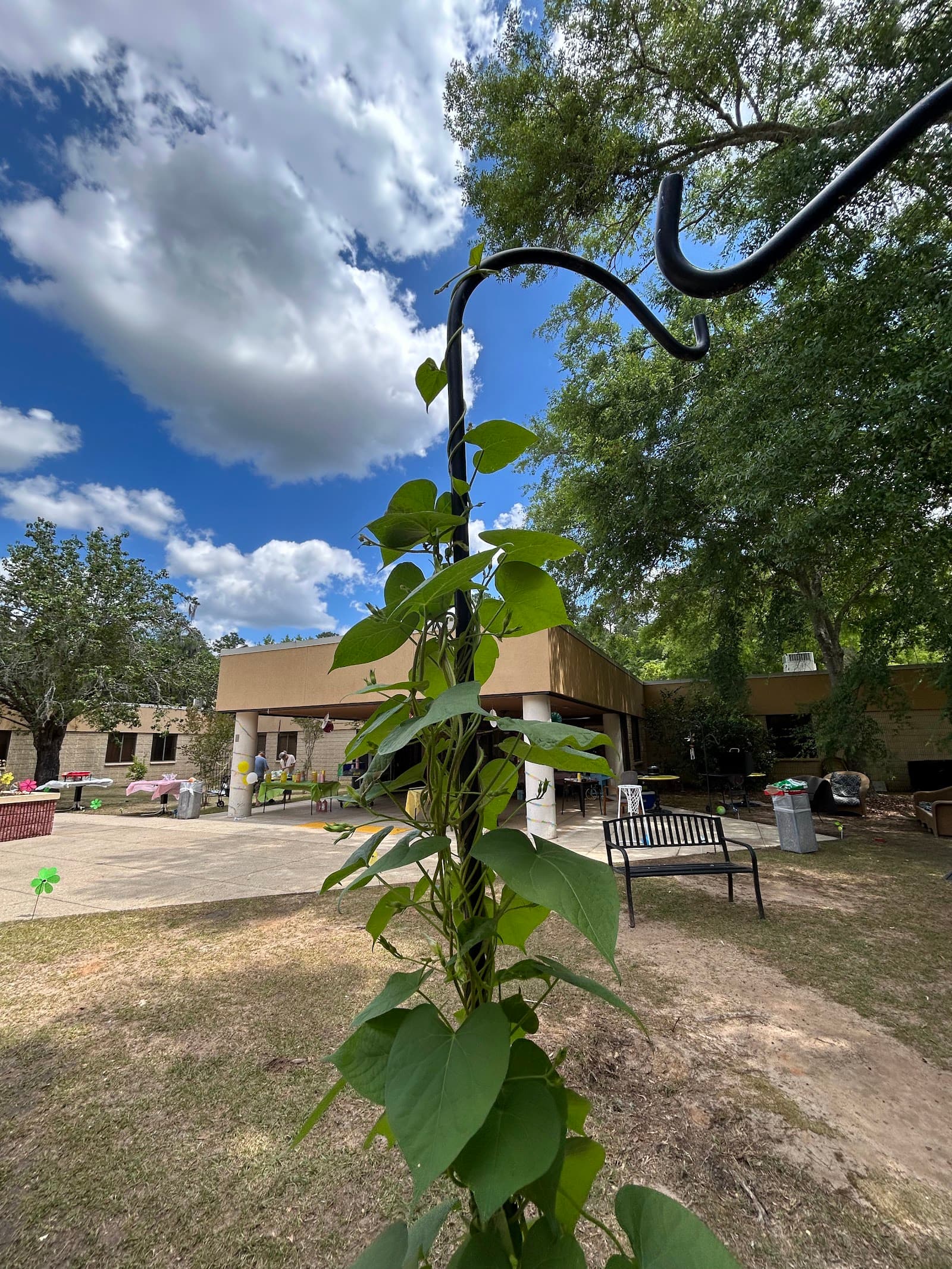 Aviata At Tallahassee