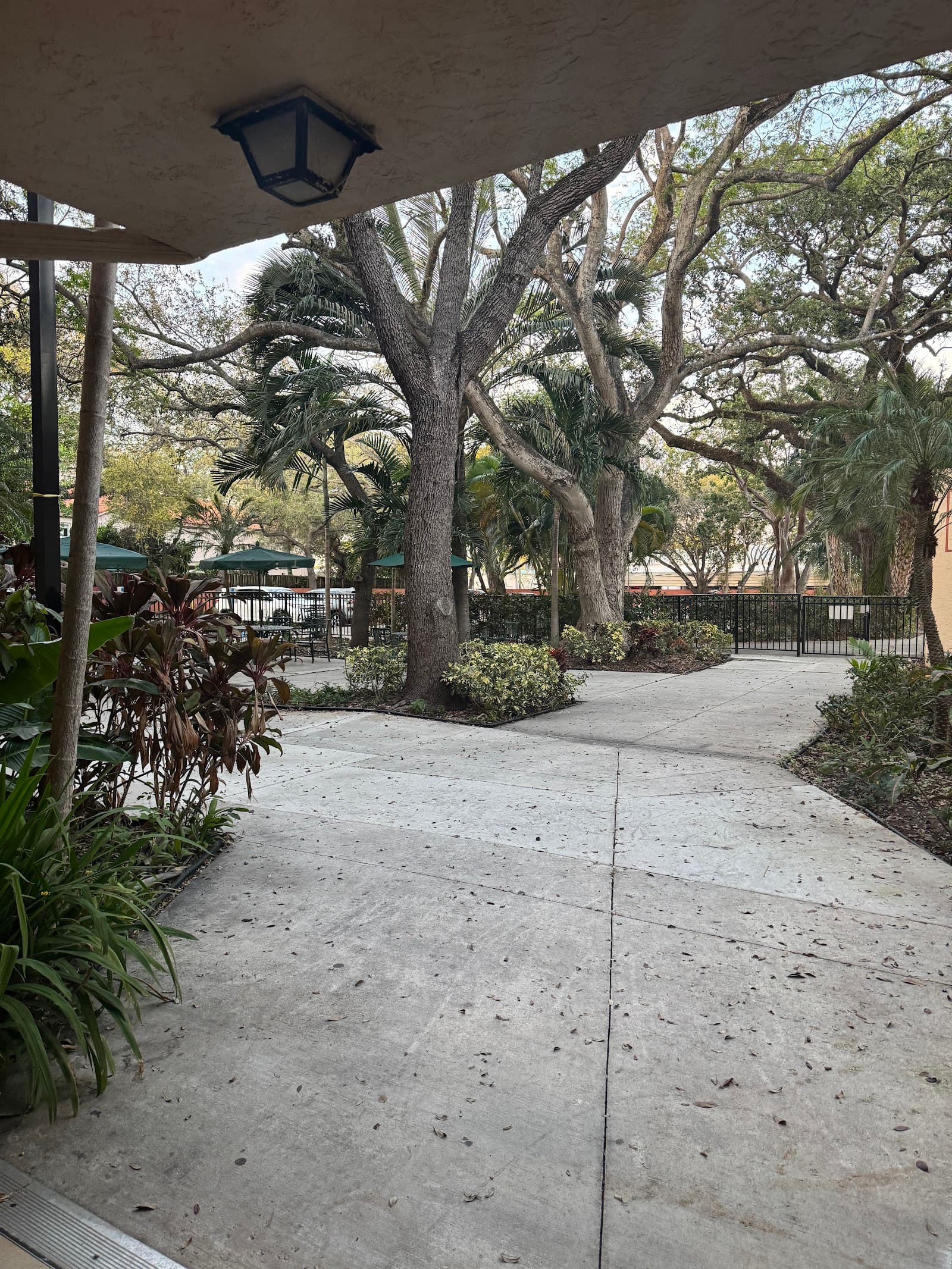Regents Park At Aventura