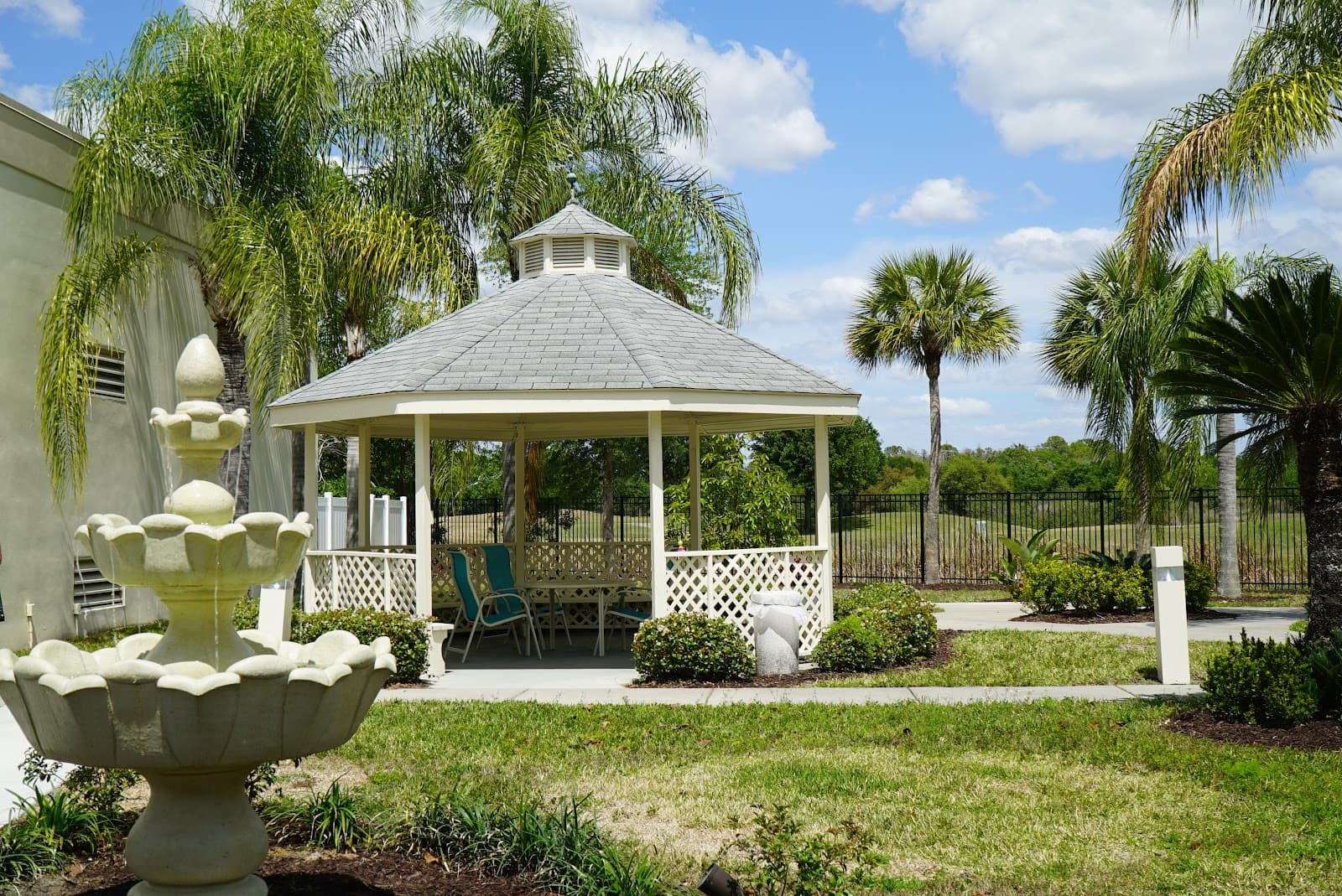 Palm Garden Of Sun City