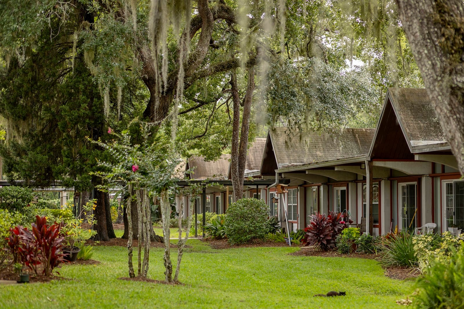 Westminster Woods On Julington Creek
