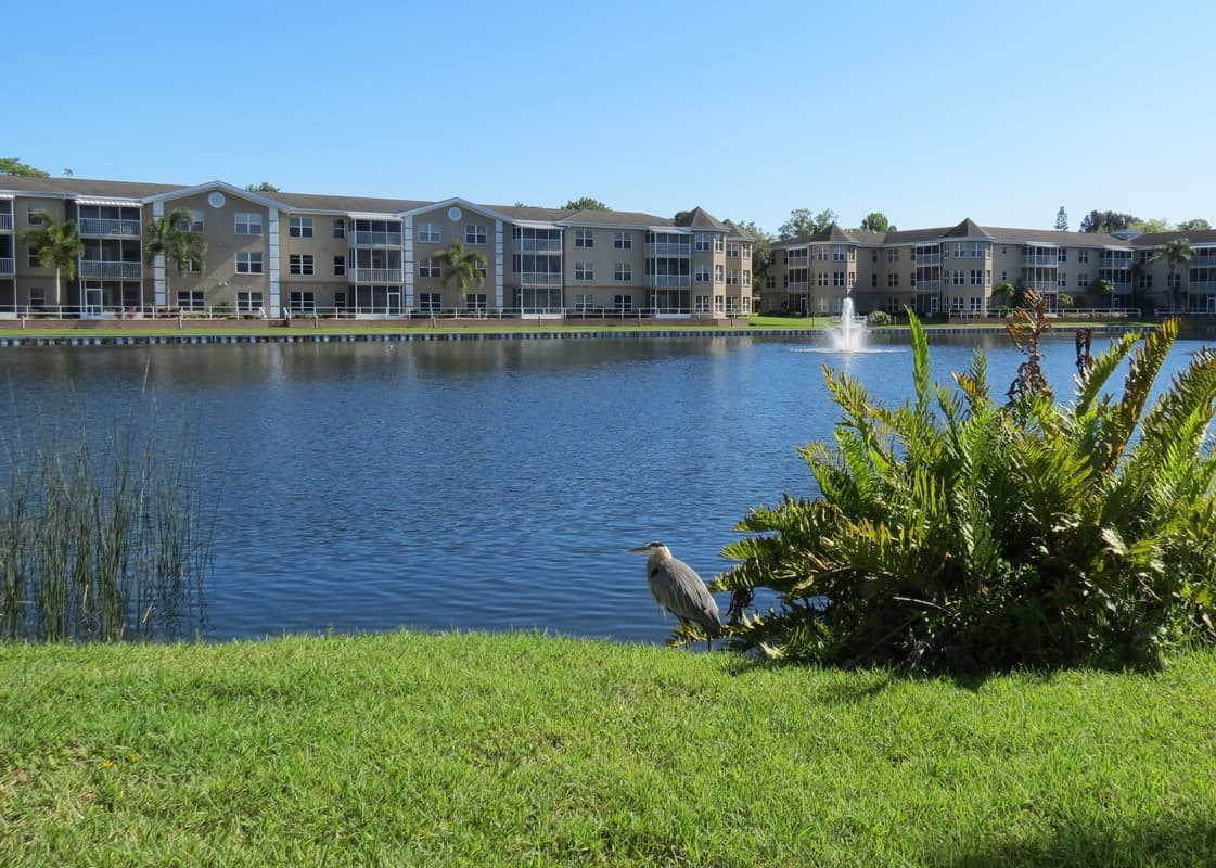 Sunnyside Village