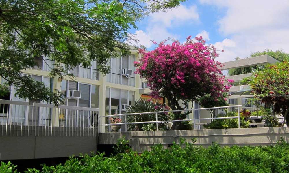 The Care Center Of Honolulu