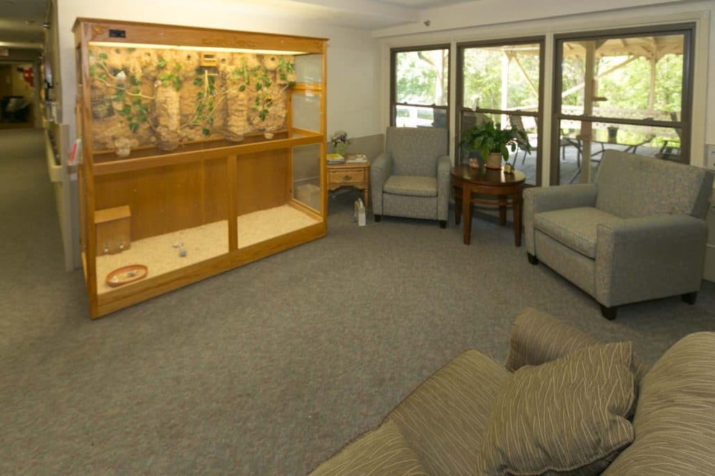 Careage Hills Rehabilitation And Healthcare