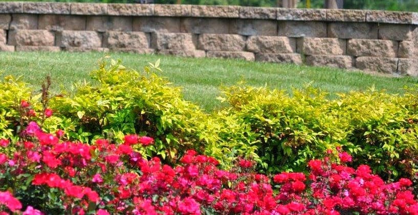Lake Way Nursing and Rehabilitation Center