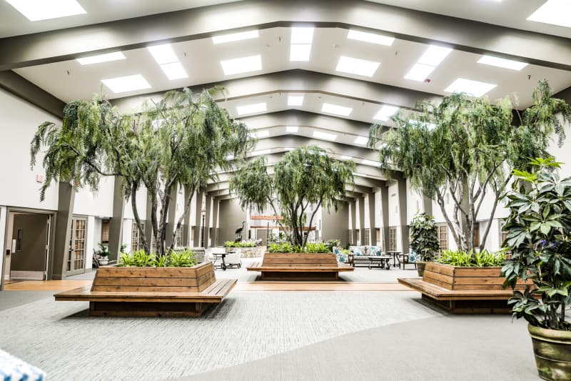 Chateau Living Center