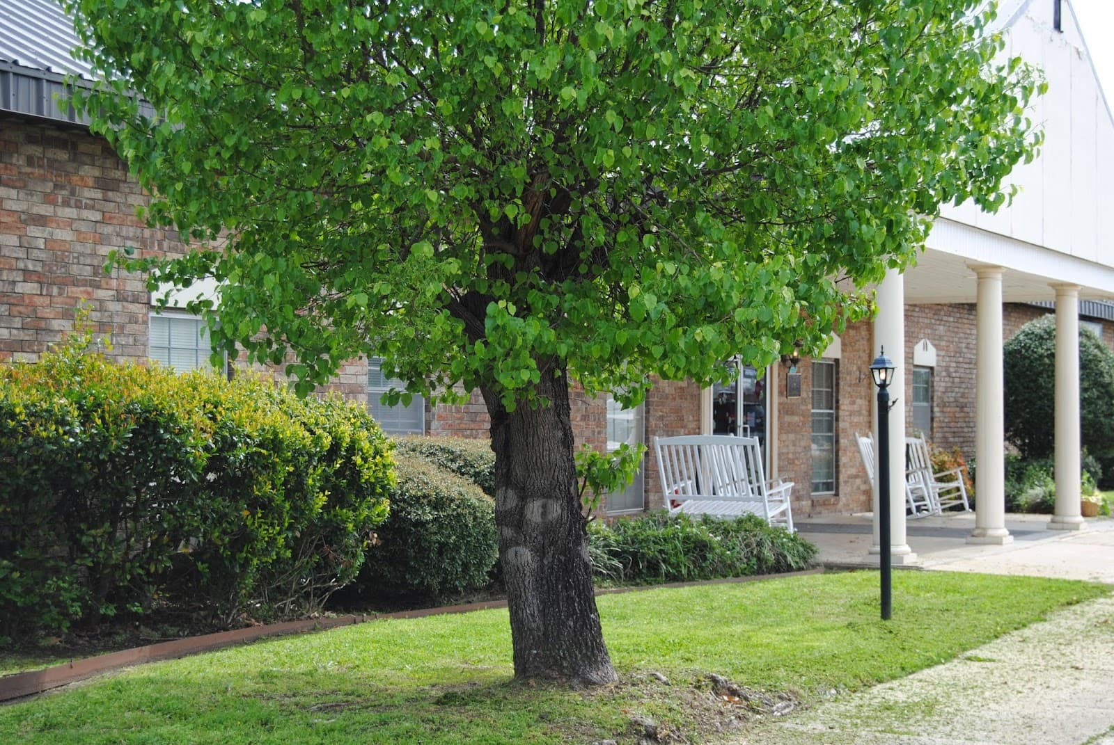 Springhill Post Acute & Memory Care