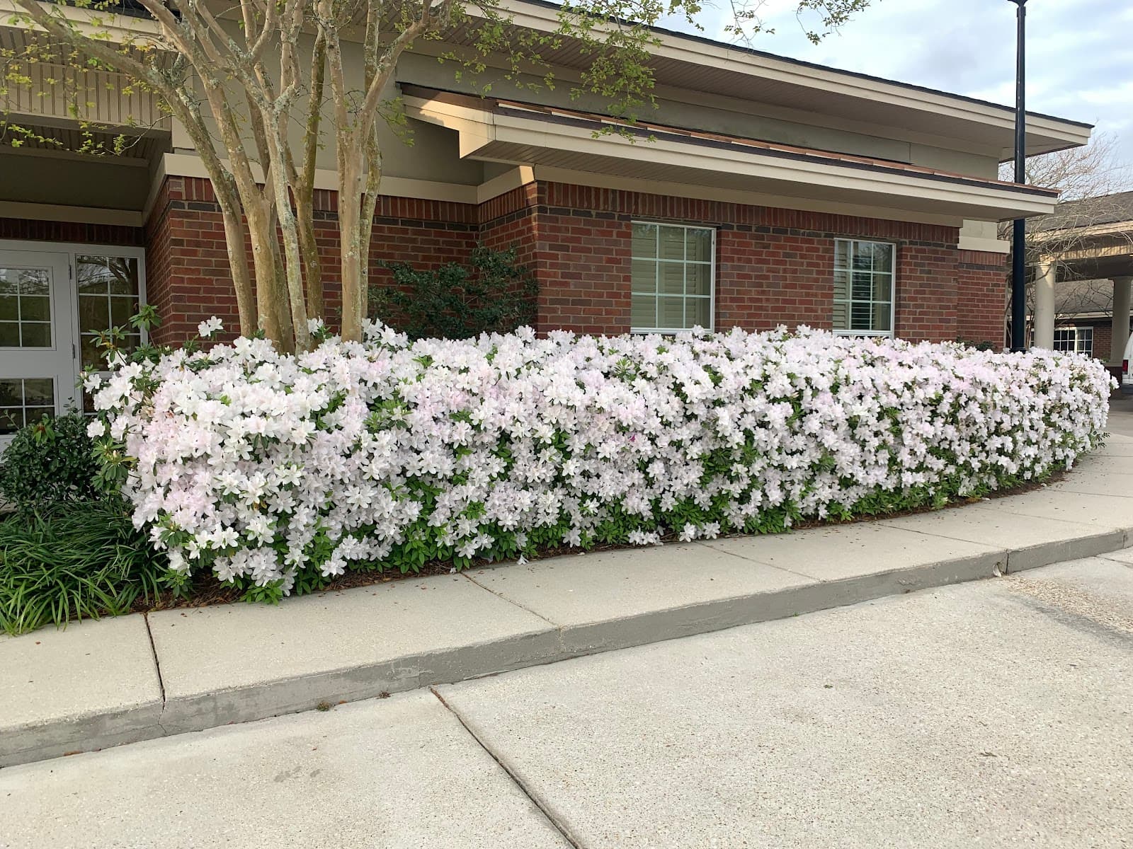Ascension Oaks Nursing And Rehabilitation Center