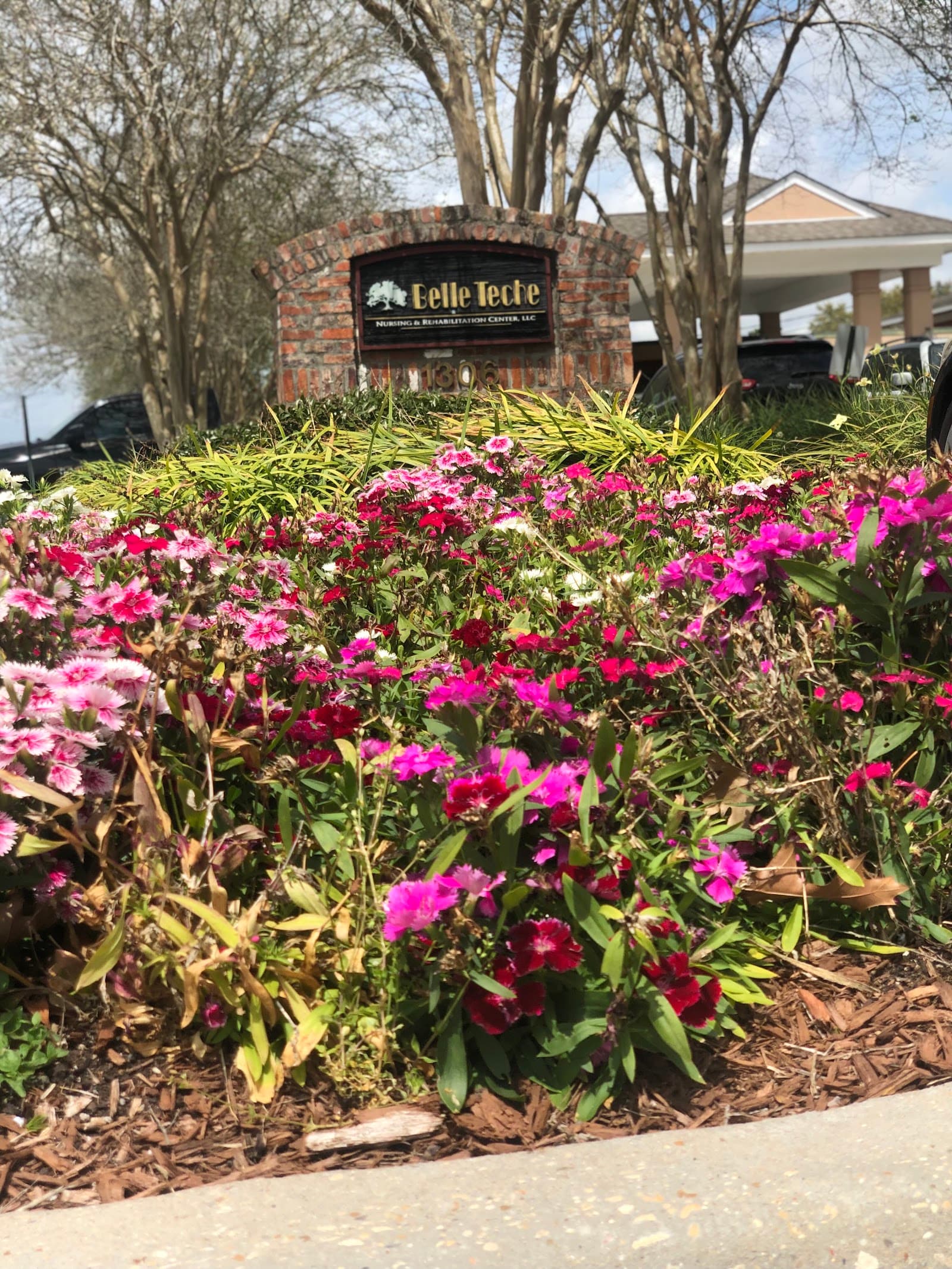 Belle Teche Nursing & Rehabilitation Center