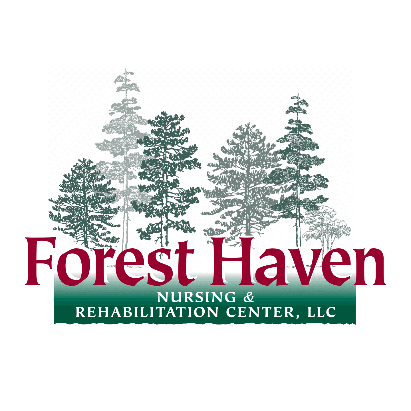 Forest Haven Nursing & Rehabilitation Center, LLC