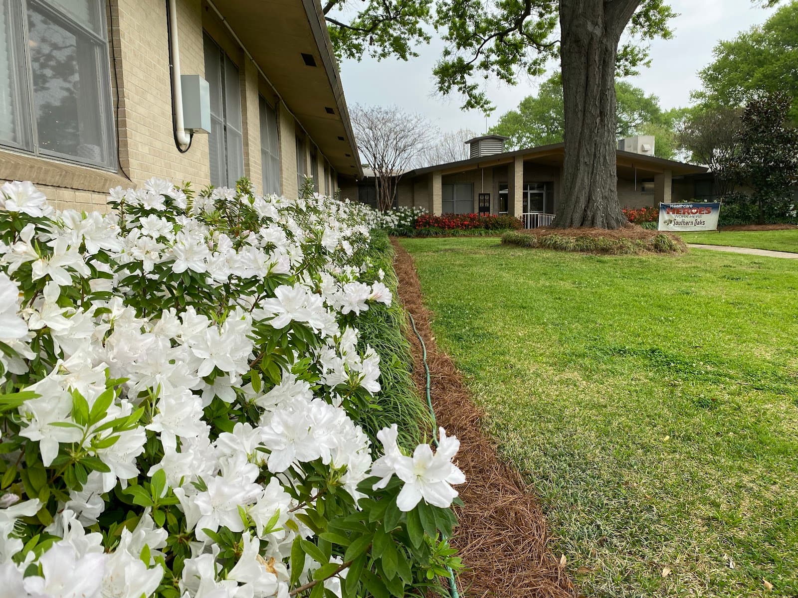 Southern Oaks Nursing & Rehabilitation Center, LLC