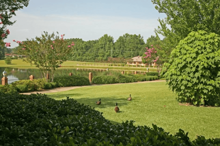 Leslie Lakes Retirement Center — photo 1