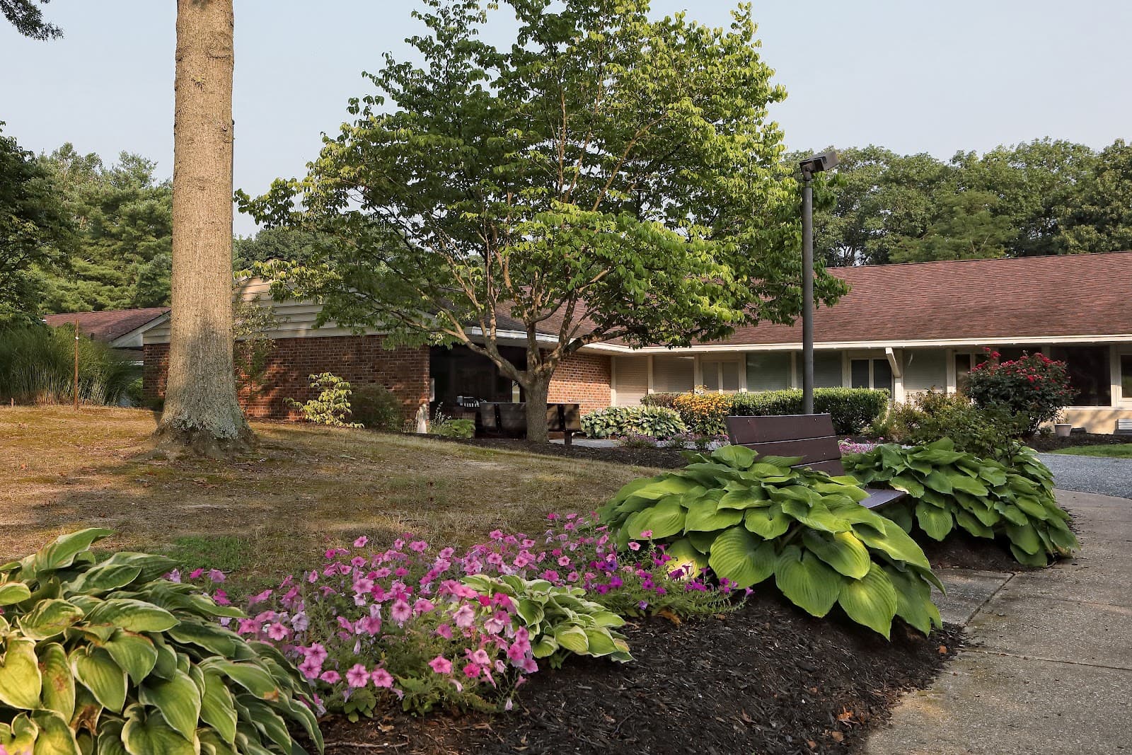 Complete Care at Corsica Hills