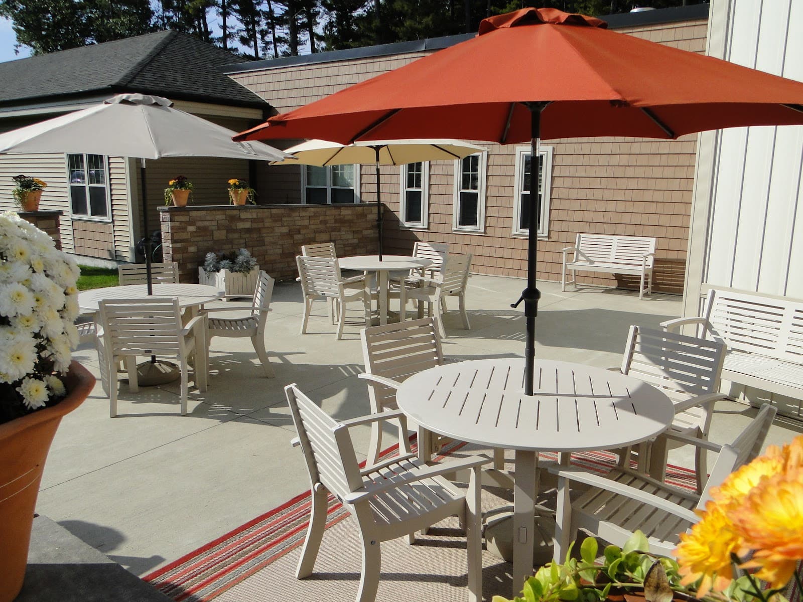 D’Youville Life & Wellness Community