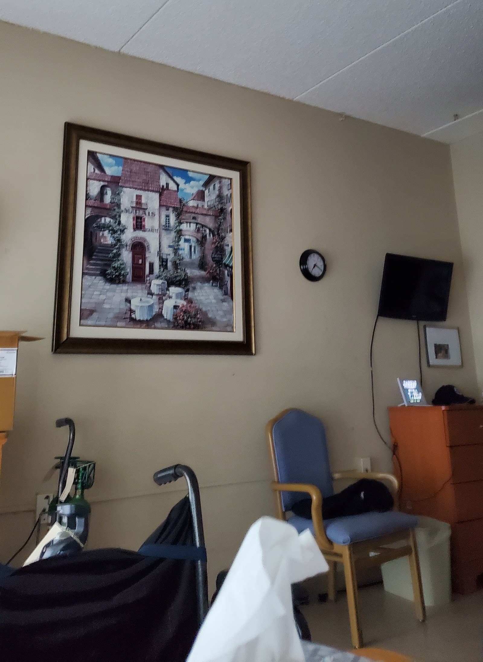 South Lyon Senior Care & Rehab