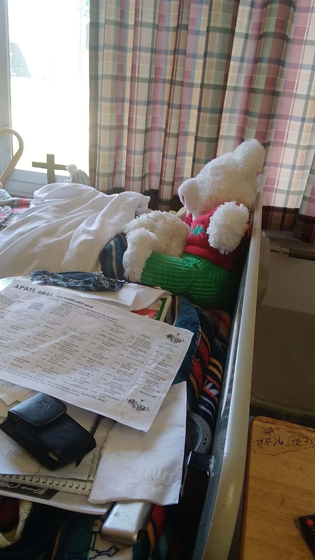 Diversicare Of Ripley — photo 1