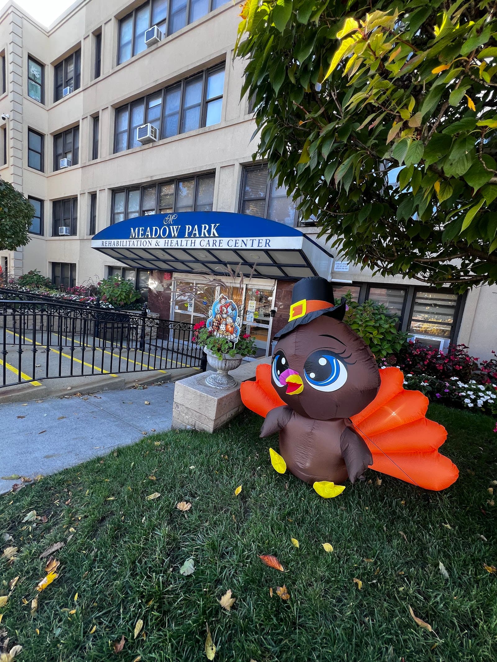 Meadow Park Rehab & Healthcare