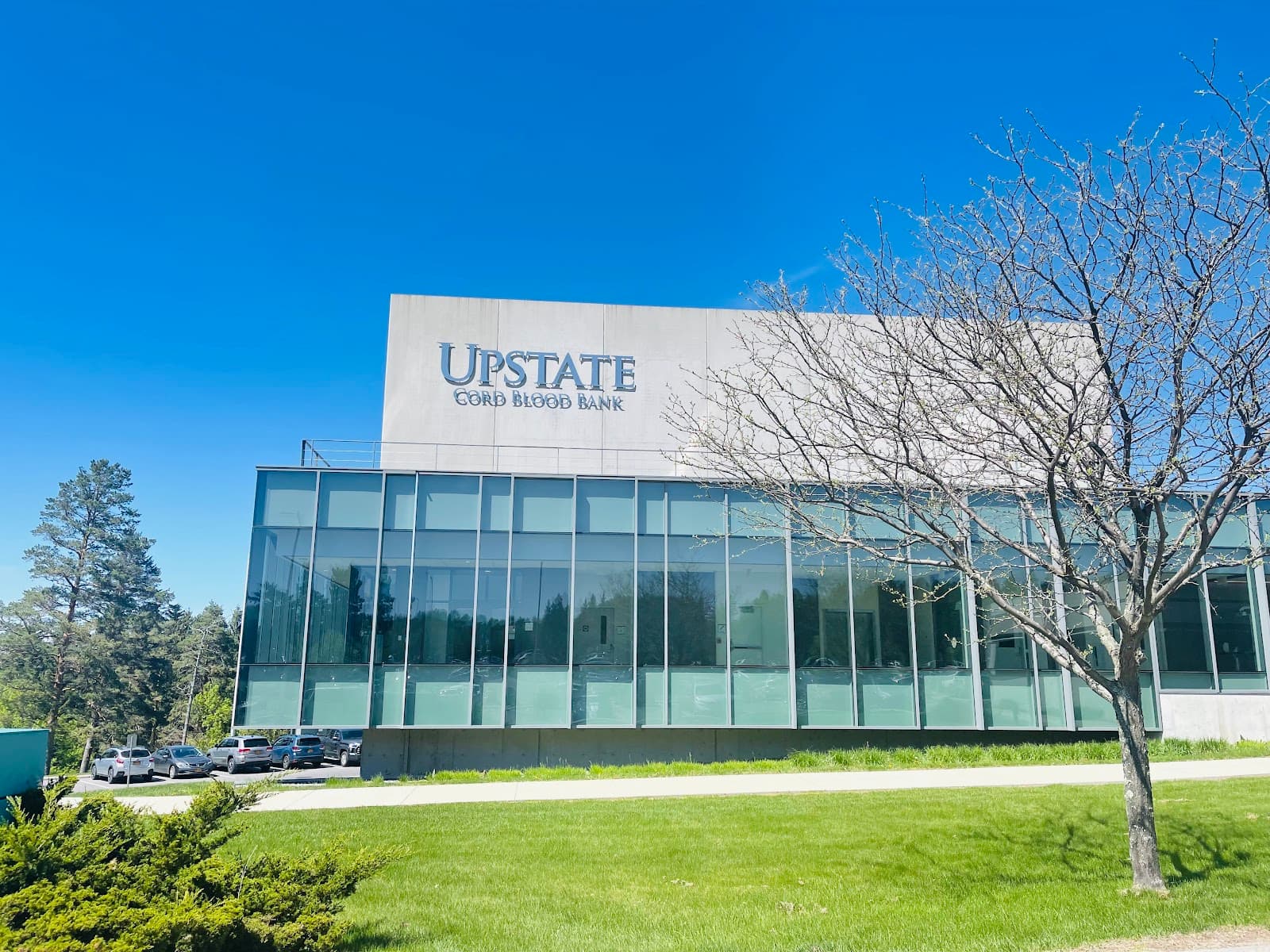 Upstate Community Hospital