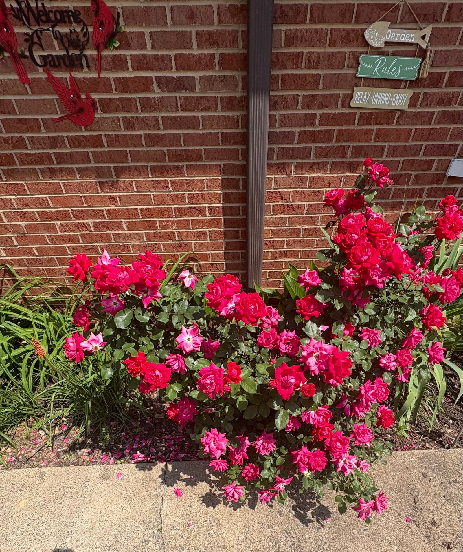 Cardinal Healthcare And Rehabilitation — photo 1
