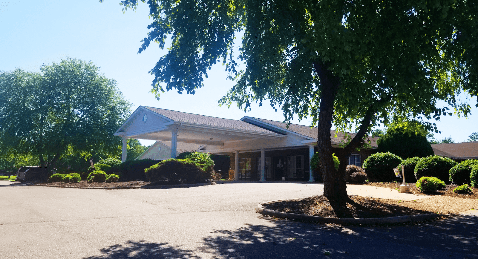 Forest Health and Rehab