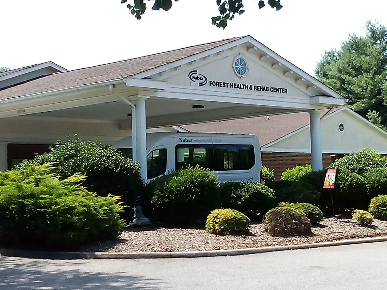 Forest Health and Rehab