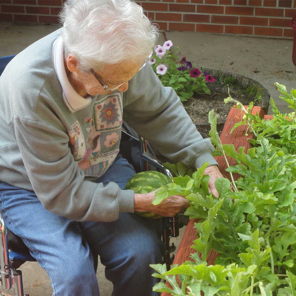 Pine View Care Center