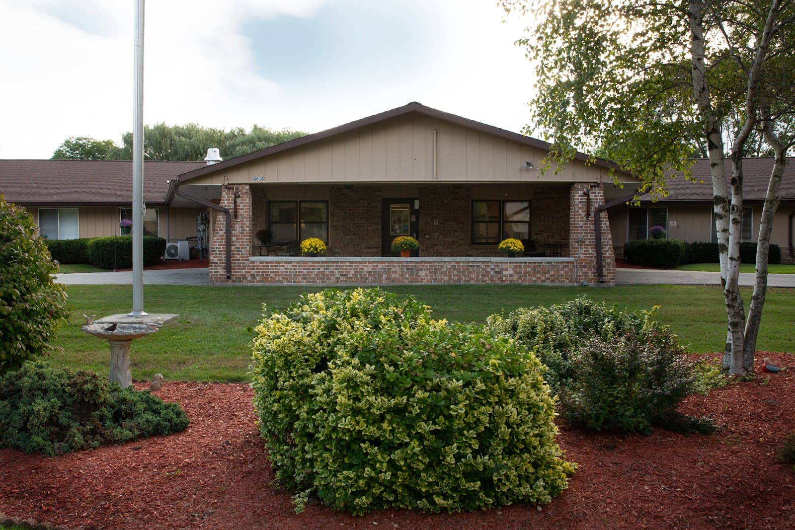 Meadow View Health Services