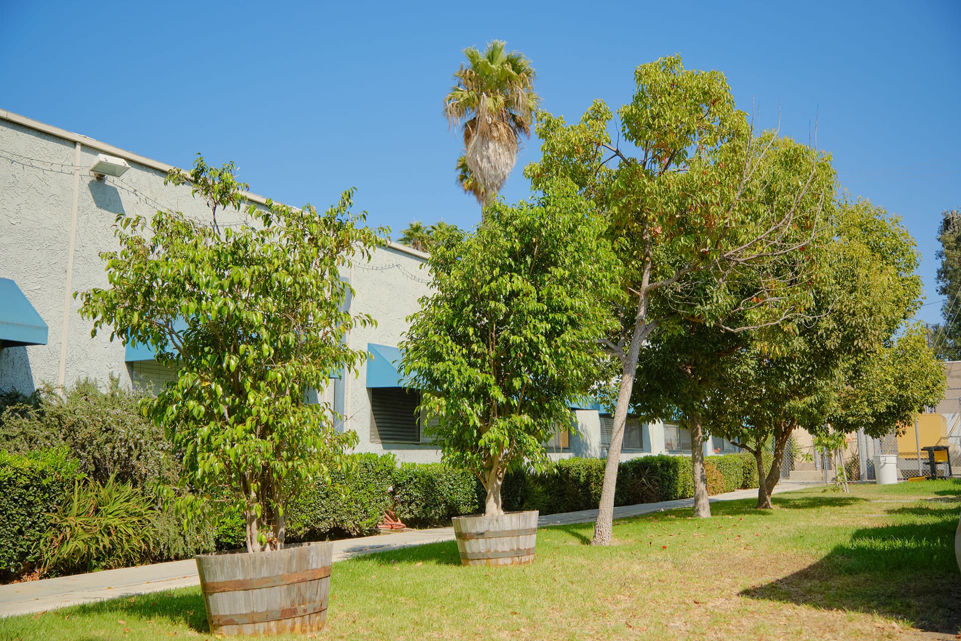 Lawndale Healthcare & Wellness Center