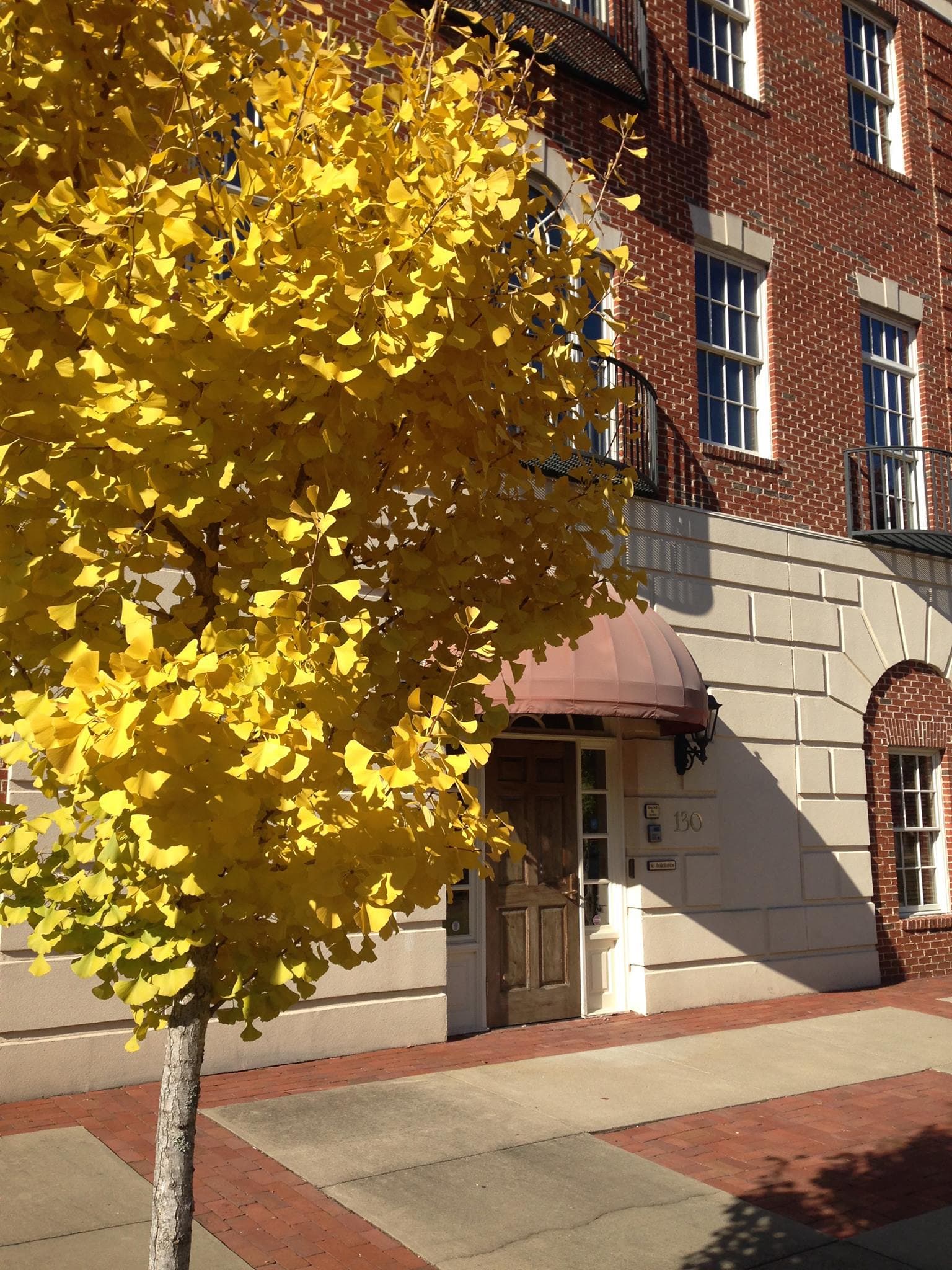 White Oak Management, Inc