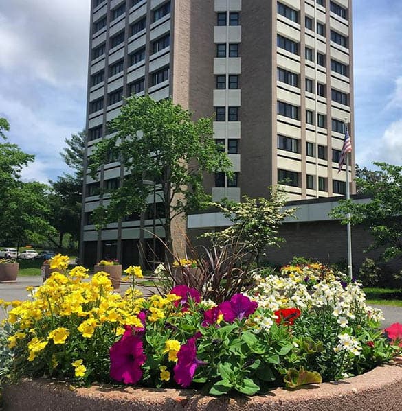 The Wesley Community