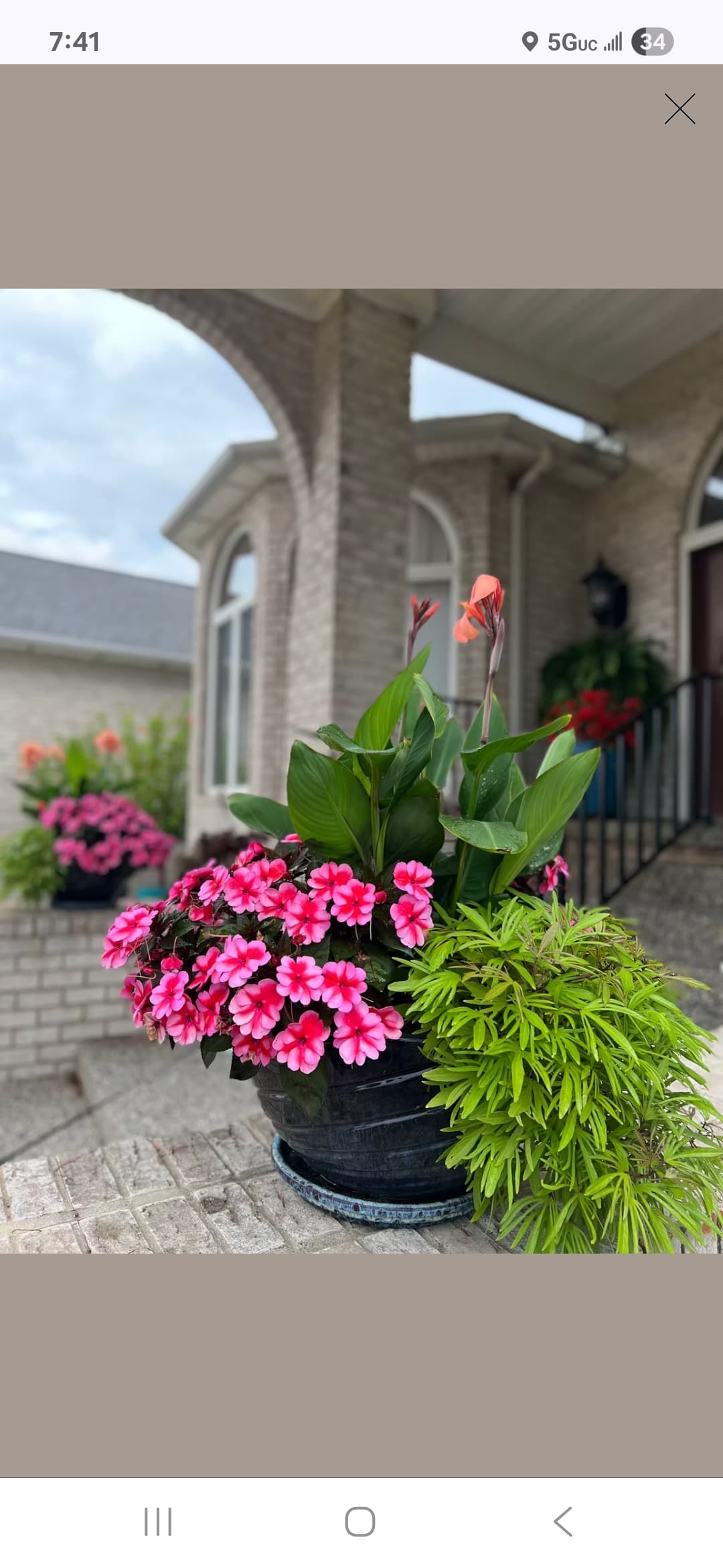 Safe Haven Elder Care LLC — photo 1