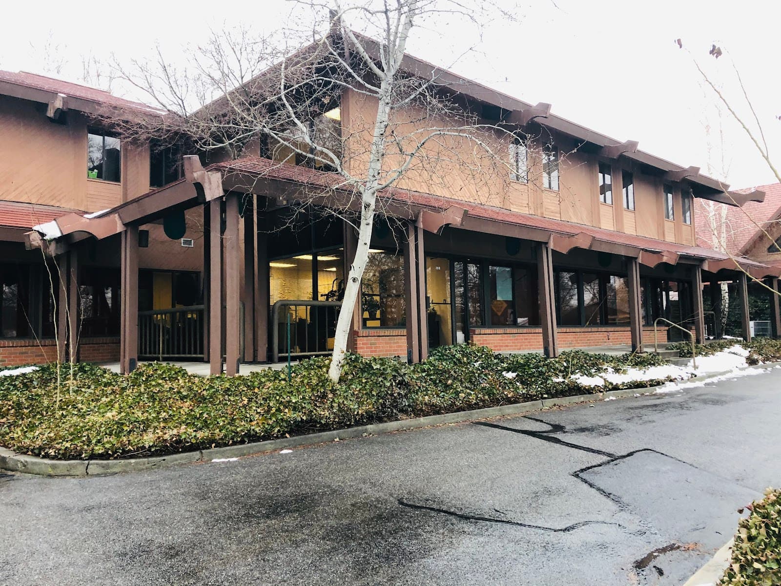 Alternative Nursing Services, Inc.