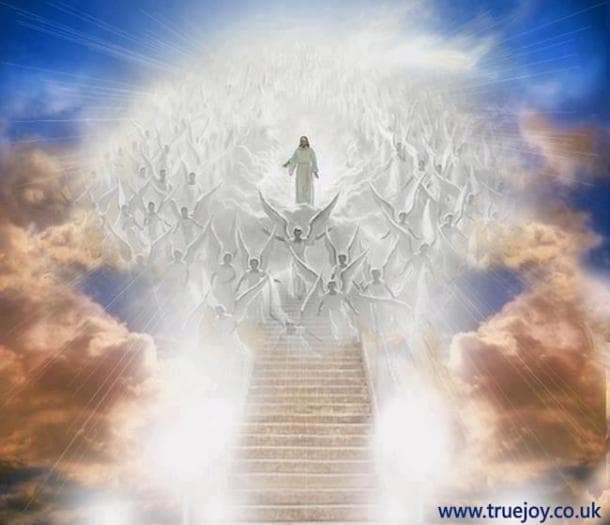 Angel Haven