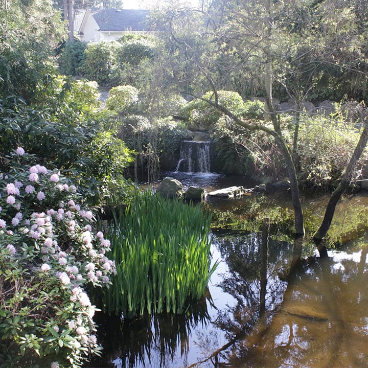 Crystal Falls and Evergreen Heart Adult Family Homes