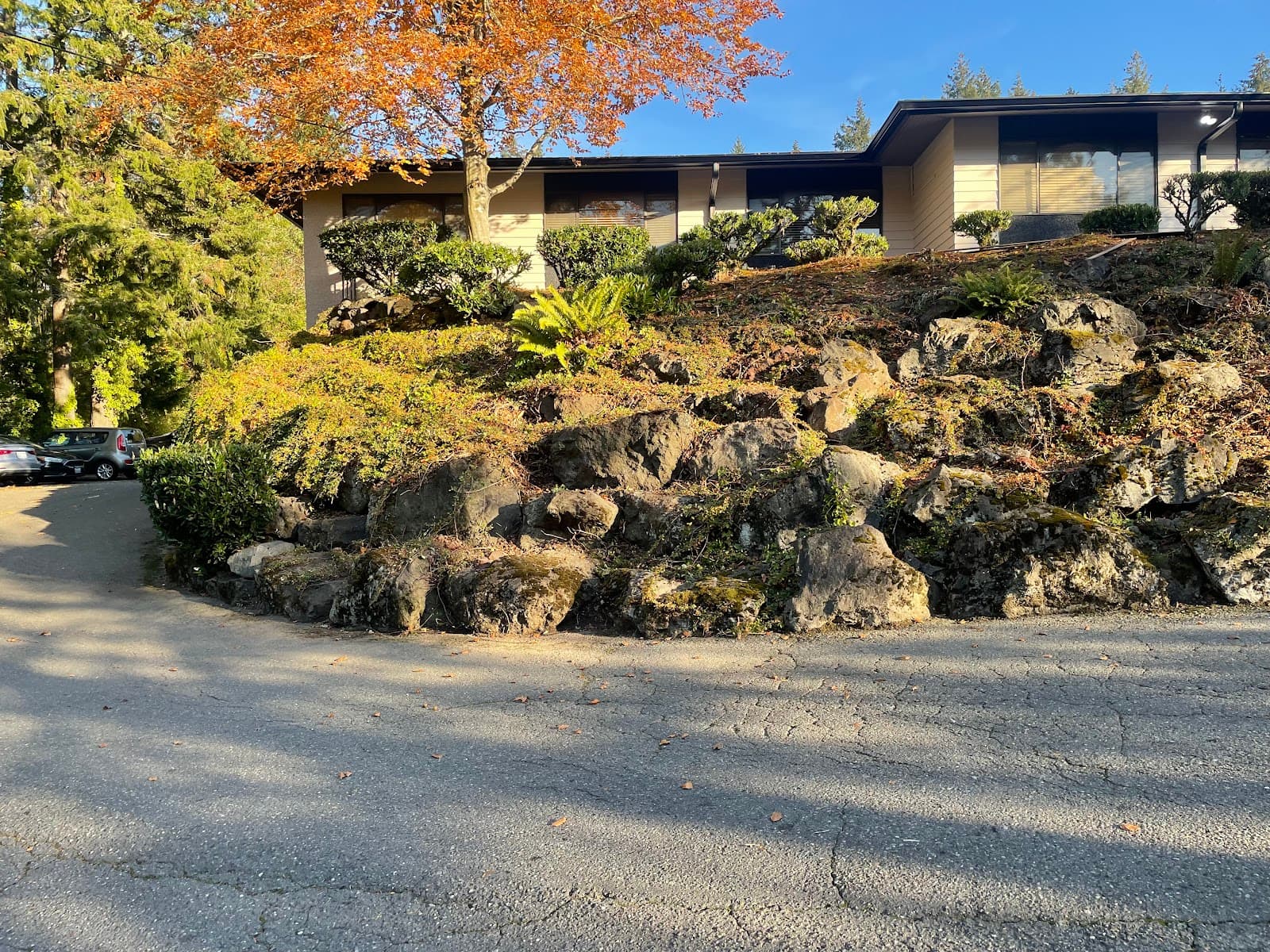 Forest Ridge Health & Rehab