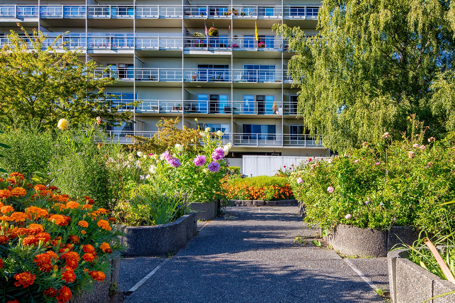 Wesley Des Moines, The Terrace