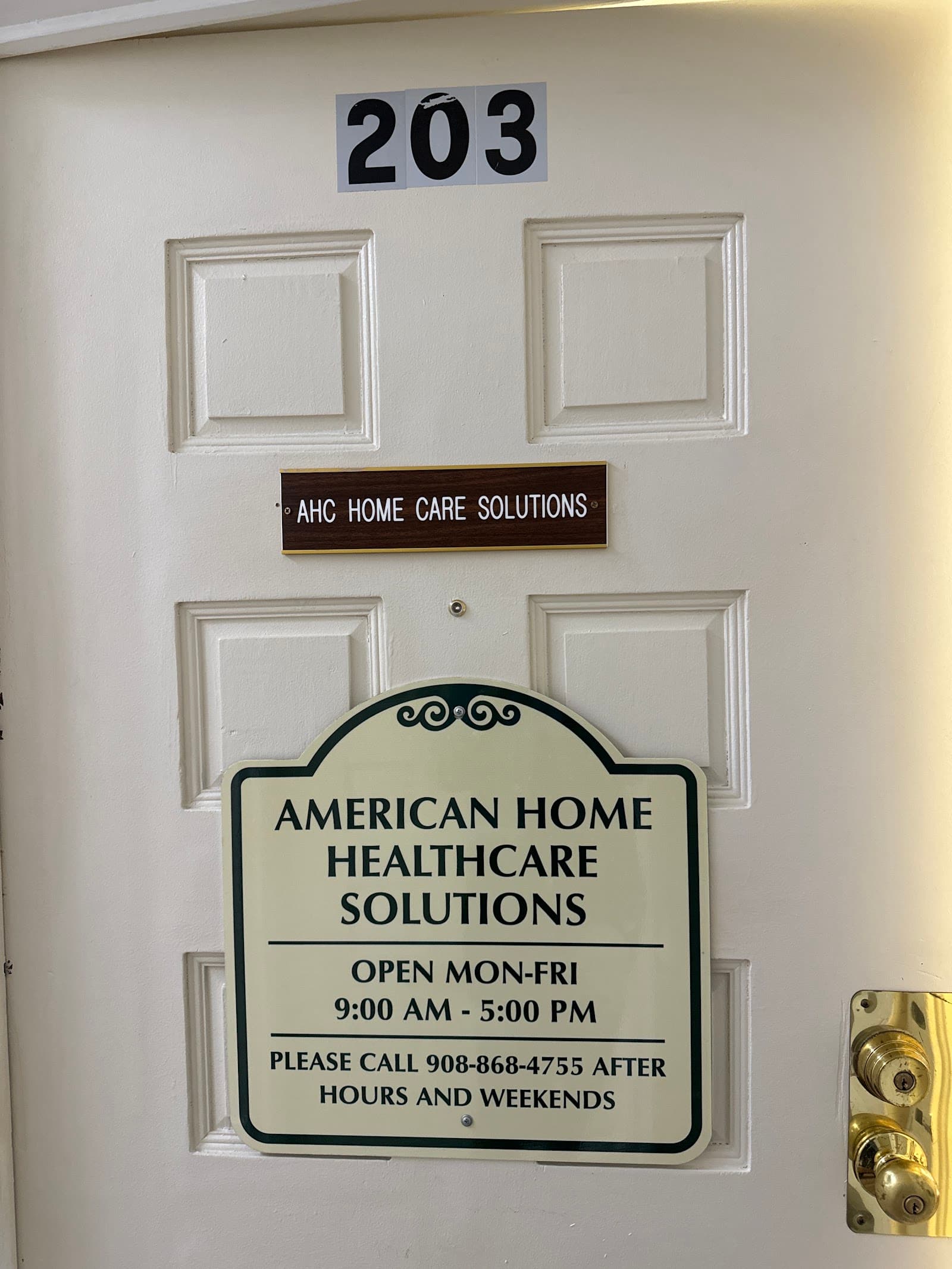 AMERICAN HOME HEALTHCARE SOLUTIONS